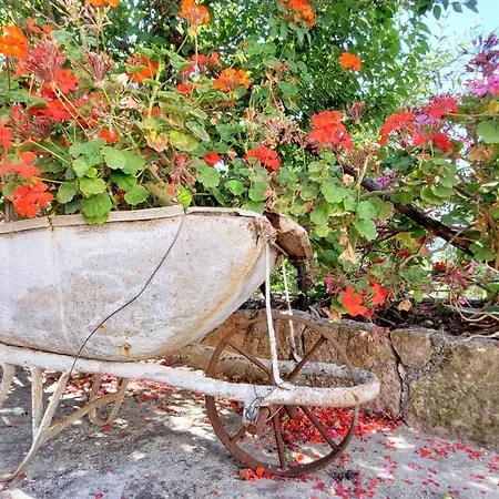Сasa de vacaciones Chios Farm House Vathí - Ítaca