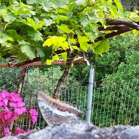 Сasa de vacaciones Chios Farm House Vathí - Ítaca