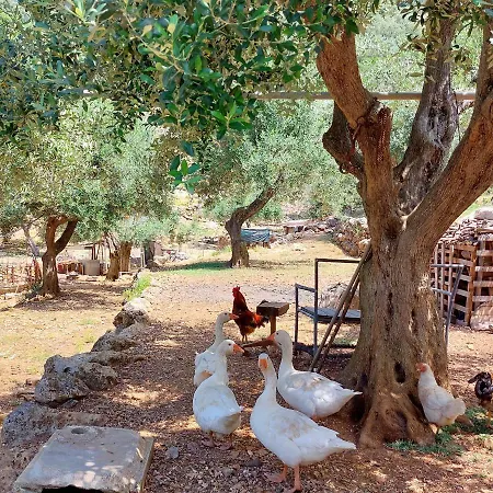 Chios Farm House Vathí - Ítaca