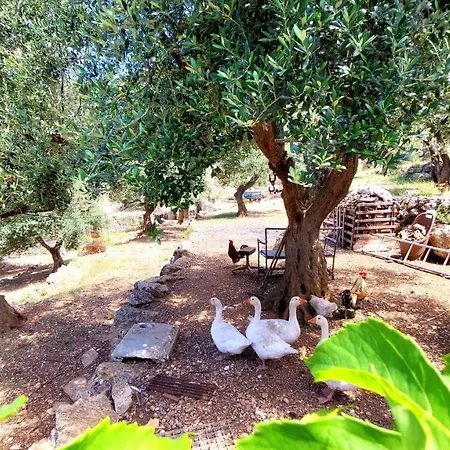 Сasa de vacaciones Chios Farm House *
